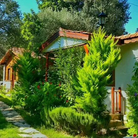 Homestay Masal Gibi