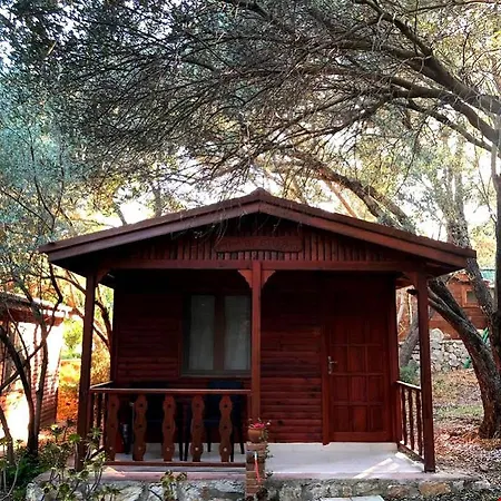 Homestay Masal Gibi