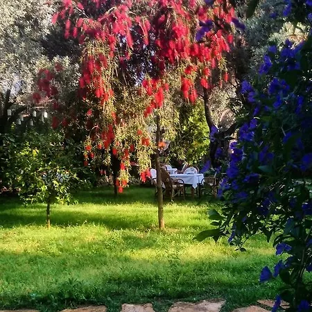Masal Gibi