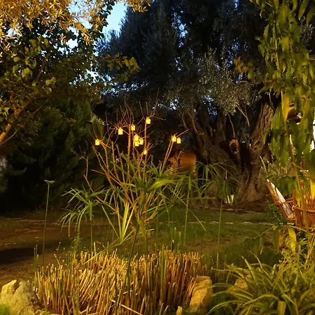 Homestay Masal Gibi *